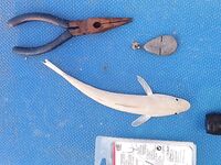 Зимний Варадеро отдал мне барракуду но настоящую кубинскую рыбалку местные обещали только с мая