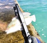 Красный маяк в Варадеро мучил меня ветром а лодка потом отдала двух барракуд и обрыв на рифе