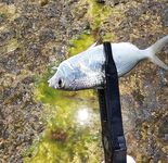 Красный маяк в Варадеро мучил меня ветром а лодка потом отдала двух барракуд и обрыв на рифе