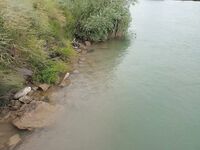 Последний вечер на Манавгате оставил мне белые подсказки по воблерам но ни одного тычка