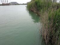 Последний вечер на Манавгате оставил мне белые подсказки по воблерам но ни одного тычка