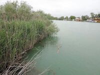 Последний вечер на Манавгате оставил мне белые подсказки по воблерам но ни одного тычка