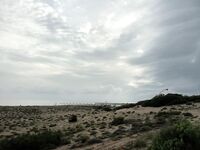 Последний вечер на Манавгате оставил мне белые подсказки по воблерам но ни одного тычка