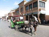 Семь марокканских баражей свели меня к двум главным точкам а рекордный басс на 58 см дождался легкий Vivo