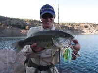 Семь марокканских баражей свели меня к двум главным точкам а рекордный басс на 58 см дождался легкий Vivo