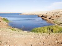 Семь марокканских баражей свели меня к двум главным точкам а рекордный басс на 58 см дождался легкий Vivo