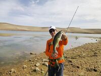 Семь марокканских баражей свели меня к двум главным точкам а рекордный басс на 58 см дождался легкий Vivo