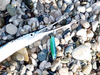 Легкий travel до пяти граммов в Текирова переиграл тяжелый комплект а микроколебло собрало саргана и сибаса