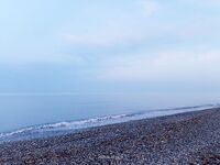 У Самшитовой рощи барабулька перевалила за десяток а первый марамир у меня все же заставил фрикцион пискнуть