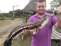 Pilot 111, Самет, Озеро гигантов и Jomtien Fishing Park в одном тайском отпуске вокруг ПТТ