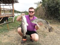 Pilot 111, Самет, Озеро гигантов и Jomtien Fishing Park в одном тайском отпуске вокруг ПТТ