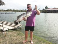 Pilot 111, Самет, Озеро гигантов и Jomtien Fishing Park в одном тайском отпуске вокруг ПТТ