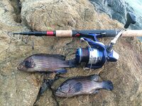 Pilot 111, Самет, Озеро гигантов и Jomtien Fishing Park в одном тайском отпуске вокруг ПТТ