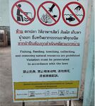 На Самете запретные таблички вытеснили меня в порт а ночная попытка по кальмару уперлась в пустое море