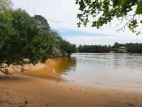 В устье Бентота-Ганги барракуда заходила по вечерам а в мангровый рукав без лодки уже не подойти