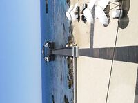 Фамагуста летом дала три кефали а зимний вечер в Коньяалты уложился в осьминогов кальмара и каракатицу