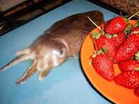 Январские десять дней в Коньяалты сразу разложились на утренние выходы вечернее море и рынок между ними