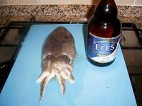 Январские десять дней в Коньяалты сразу разложились на утренние выходы вечернее море и рынок между ними