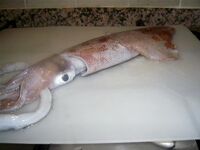 Январские десять дней в Коньяалты сразу разложились на утренние выходы вечернее море и рынок между ними