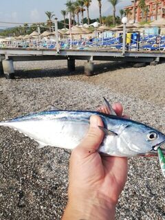 Owner 10 разогнулся после рыбы на булере в Кемере