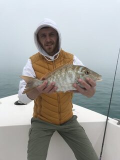 Дубай: туман, ближние точки и сход king fish