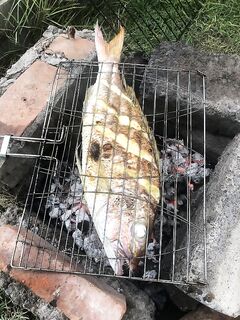 Ловля в Семиньяк - махи-махи и четыре тунца сошли (декабрьский выход без фейерверков)