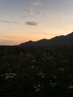 Полтора часа разницы погода как другая (АМЕД)