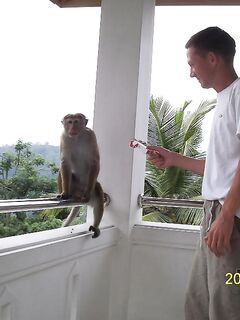 Морская рыбалка на Шри-Ланке и быт рыбацких деревень: цены и реальность