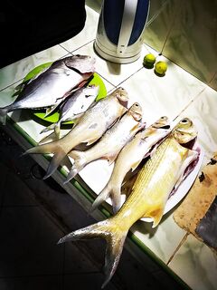 Тангалле, Чех Хаус: морская рыбалка в прибое и бешеная конкуренция по корму