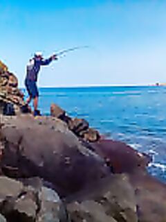 Паликдува: для масштаба по волне