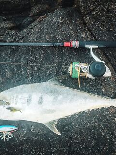 Катушки для моря: KastKing Kodiak 5000 как запас