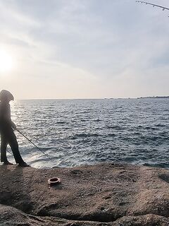 Jungle Beach, крючки кривая сталь: сливы трофеев