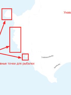 Мирисса - Велигама: точки в шаговой доступности, ищу барамунди
