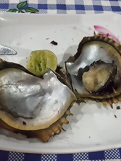 Ко Липе и Аданг: морская рыбалка, живец молчит, королевская макрель мимо