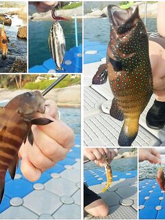 Пхукет, Ката юг: микроджиг на закате с берега, резина ловит, железо молчит