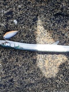 Крупняка близко нет