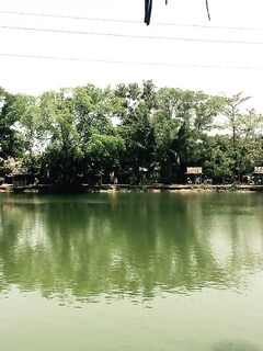 Пхукет, Раваи и платник: лодки, волна, монстры в пруду