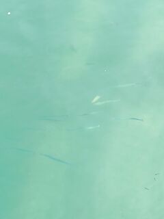 Самет, пирс у отеля: спиннинг по хищнику, воблеры под полурыл