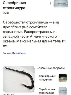 Тайланд - кусок берега на карте, отметил точку для пробных забросов