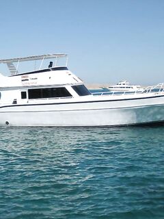 Морская рыбалка на рифе Святого Джона: неделя джига и поппинга на лайвборде