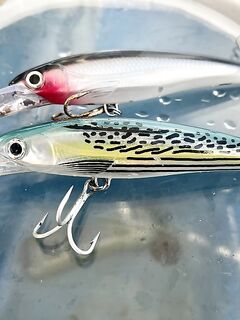 МОРСКАЯ РЫБАЛКА НА МАЛЬДИВАХ: BIG GAME, джиг и поппинг в начале июня