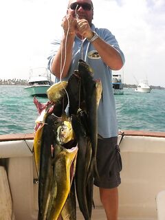 Пунта-Кана семейный выход, 10 дорадо и барракудка, гриль сделали прямо на берегу