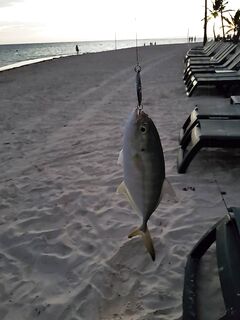 Пунта-Кана, утренний береговой спиннинг - пелагика и неожиданные рывки