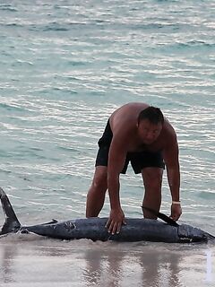 Морская рыбалка в Кап-Кана: ранний выход, троллинг и охота за марлином