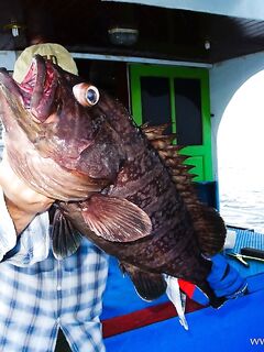 Морская рыбалка в Андаманском море, Таиланд: GT, догтуна, групер и руби снаппер