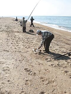 Морская рыбалка в Благовещенской: широкий песчаный берег и планы на клёв