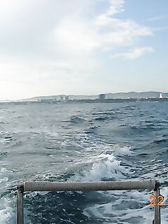 Витязево, морская лиса взята, выезд с Олежеком в море, фото из рейса