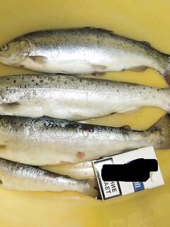 Сочи, река у ул. 50 лет СССР - форель 27-35 см, фото, вопрос по виду