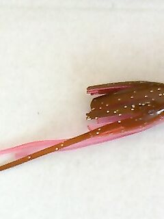 Анталия атака групера у свала: держал 10 секунд и сошёл