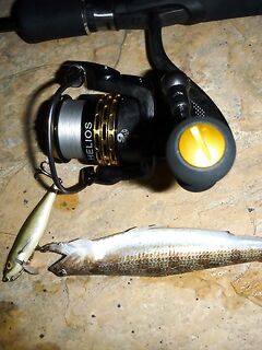 Анталия фото с точки: свал, чайки, дорожки на песке — красота